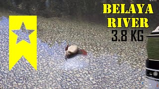 Russian Fishing 4  Belaya River Trophy Grayling Lipień 66 rf4 spot [upl. by Let]