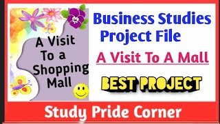 Business Studies Project on A Visit To A Mall for Class 1112 Business Studies ProjectBST Project [upl. by Eiliah391]