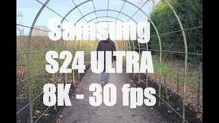 8K  30fps  Samsung S24 Ultra  Is this the best video on a Phone   Edited with Davinci Resolve [upl. by Arihsa773]