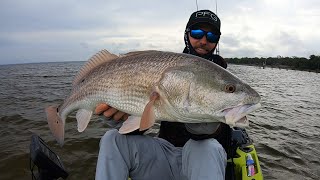 These Fish Are Too Much Fun  Florida Redfish On Shallow Flats  Sight Fishing amp Blind Casting [upl. by Merceer]