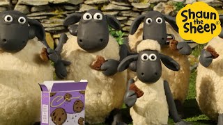 Shaun the Sheep 🐑 Cookie Party  Cartoons for Kids 🐑 Full Episodes Compilation 1 hour [upl. by Yedorb]