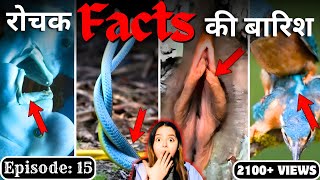 Top 10 Interesting Facts In Hindi  Top 10 Random Facts  Mind Blowing Facts  Episode 15 [upl. by Enaud]