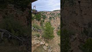 TerrorDactyl swooping over Cave of the Winds near Colorado Springs Colorado Did I scream 😀 [upl. by Brandes]