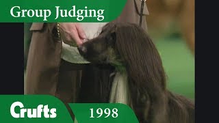 Afghan Hound wins Hound Group Judging at Crufts 1998 [upl. by Israel73]