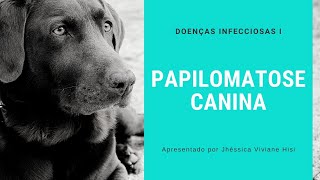 Papilomatose Canina  Medicina Veterinária [upl. by Merwyn]