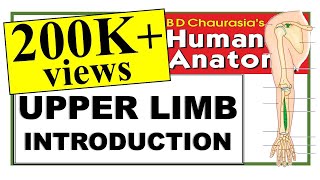 Chp1  Upper Limb Introduction  BD Chaurasia Regional Anatomy  Dr Asif Lectures [upl. by Adnwahsor]