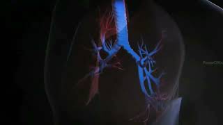 Respiratory System Class 7  How the Lungs Breathe 3D Animation New Oxford Secondary Science [upl. by Ottillia]