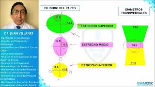 Pelvimetría  Planos de HODGE y LEE USAMEDIC  Obstericia 4 [upl. by Spanjian]