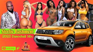 Steelie Bashment 2023 Dancehall mix [upl. by Vasili]