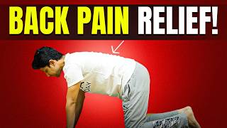 Daily Exercise for BACK PAIN  15Min Workout at home  Saurabh Bothra [upl. by Soane]