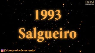 SambaOkê  Salgueiro 1993  Peguei Um Ita No Norte Explode Coração  Karaokê [upl. by Enelyaj529]