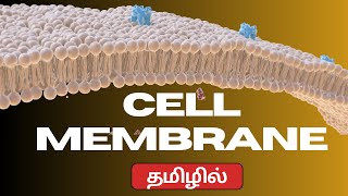 Cell Membrane In Tamil [upl. by Nnylyar370]