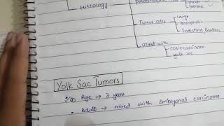 Testicular Carcinomas Part 2 Pathology  4th Lecture  Robbin [upl. by Wons]