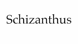 How to Pronounce Schizanthus [upl. by Alat250]