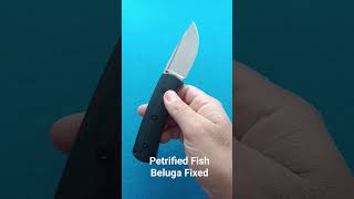 Petrified Fish Beluga fixed [upl. by Latsyrk34]