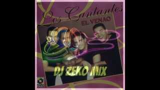 Los Cantantes Megamix  Dj ZeKo MixXx [upl. by Laurena]