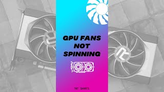 Graphics Card Fans not Spinning  Is it normal shorts Malayalam [upl. by Ahsrav]