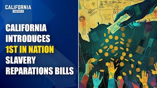 California Introduces 1stInNation Slavery Reparations Bills  How Will It Work  Will Swaim [upl. by Ldnek]