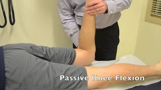 Femoral Stretch Test [upl. by Matlick247]