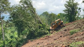 Quick Cleaning With the Amazing CAT D6R XL Bulldozer Operator Trick [upl. by Anitsuj]