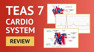 TEAS 7 Science Cardio Review [upl. by Ettennod]