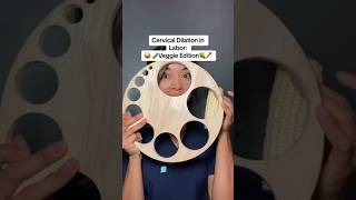 Cervical Dilation in Labor Veggie Edition shorts [upl. by Carmina]