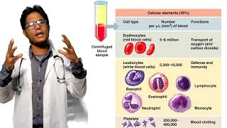 Function of Blood Bangla  রক্তের কাজ ও গঠন Medical Science  Anatomy and Physiology [upl. by Hinkle]