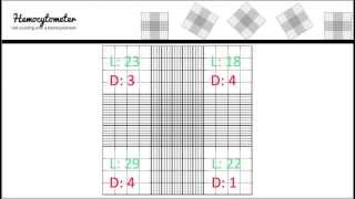 Hemocytometer calculation [upl. by Garlinda]