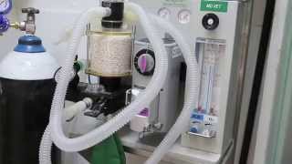 Fnal Video Injectable anaesthesia in spaying A Caterwauling Cat [upl. by Schramke141]