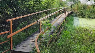 Okhla Bird Sanctuary  Reiki [upl. by Notgnimer]