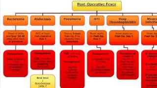 Surgery Algorithm PostOperative fever [upl. by Mikkanen]