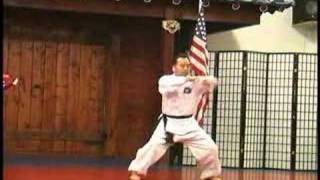 Traditional Taekwondo Poomsae Vol 1 [upl. by Mckeon]