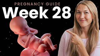 28 Weeks Pregnant  Week By Week Pregnancy [upl. by Milicent]