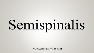 How To Say Semispinalis [upl. by Arnaud]