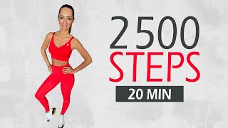 2500 CARDIO STEPS IN 20 MIN  Fett verbrennen in quotRiesenquotSchritten  Katja Seifried [upl. by Guglielmo]