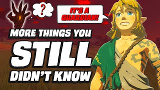 16 MORE Things You STILL Didnt Know In Zelda Tears Of The Kingdom [upl. by Rednasela]