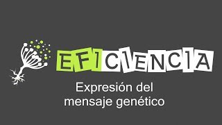 EXPRESIÓN DEL MENSAJE GENÉTICO Genes Transcripción Traducción y Acción Proteica [upl. by Melisande]