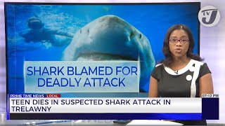 Teen Dies in Suspected Shark Attack in Trelawny  TVJ News [upl. by Anaehr475]