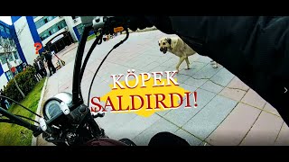 İKİ KEZ KÖPEK SALDIRDI  ÖNÜMÜZE ARABA ATLADI  GARİP POMPACI  BOL OLAYLI MOTOVLOG  motovlog 13 [upl. by Irod]