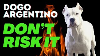 YOU CAN’T HAVE A DOGO ARGENTINO if [upl. by Leddy544]