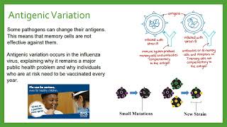 Antigenic Variation [upl. by Adriene789]