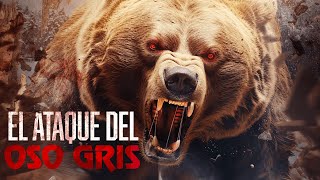 El Ataque del Oso Gris PELÍCULA COMPLETA  Películas de Monstruos Gigantes  LA Noche de Películas [upl. by Eikkin792]