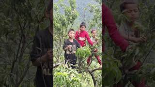 original beautiful brothers life style  short youtube video nature village life [upl. by Ajiat]