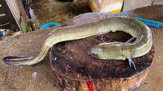 Wow Long Eel Fish Skinning amp Cutting Skills In Village Fish Market  Sri Lanka Fish Cutting Skills [upl. by Renell910]