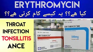 Erythrocin Erythromycin 500MG Tab Uses amp Side Effects In Urdu Hindi  Erythromycin For Sore Throat [upl. by Stan631]