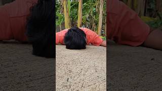 Found delicious chocolate biscuits on the streets shorts shortvideo viralvideo [upl. by Nnairak]