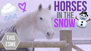 Vlog  HORSES in the SNOW and Bringing Casper back into work  Barn Vlog  This Esme [upl. by Madea]