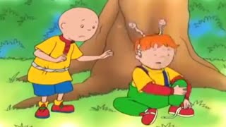 Caillou en Français  3 Heures  Caillou Fait Mal à Leo  dessin animé  conte pour enfant [upl. by Adnilrev]