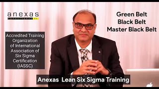 Lean Six Sigma Training by Anexas Europe [upl. by Romulus]