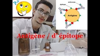 antigène épitope cour dimmunologie 5 [upl. by Humfrey]